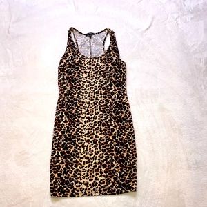 Ambience- Mini leopard dress